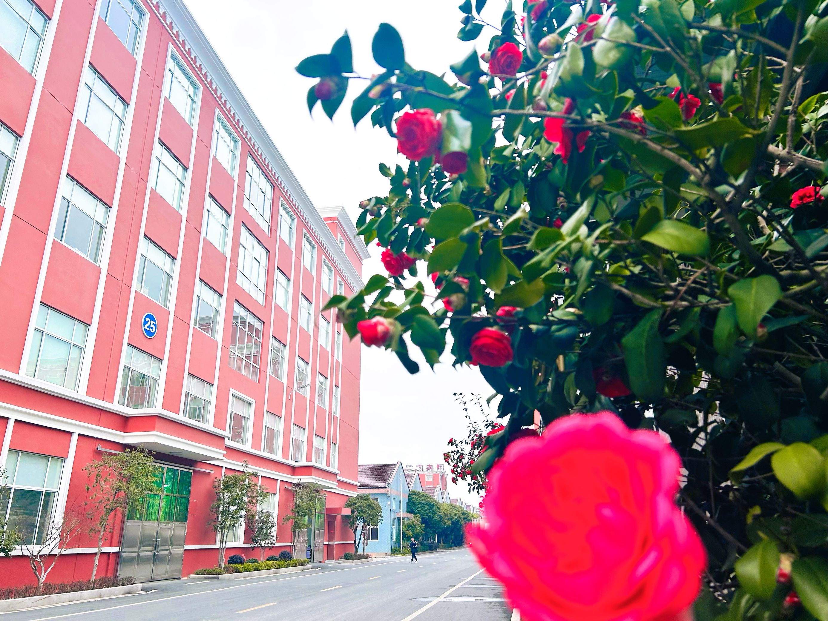 1742955184817646.png 12.png